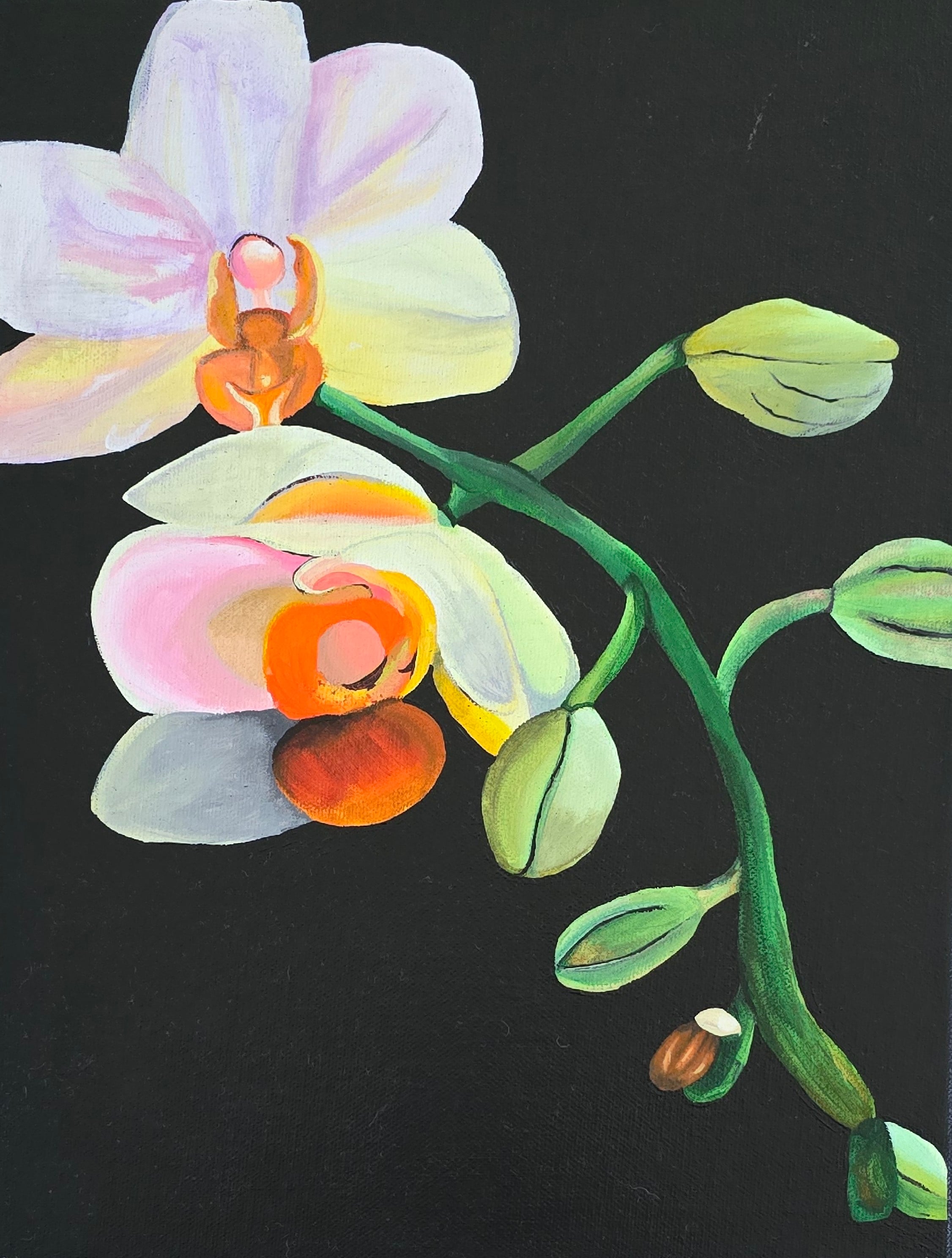 Orchid Bloom - Original artwork by Gabby Jones